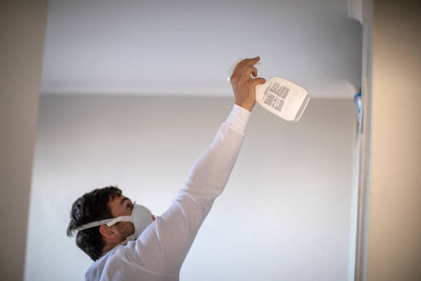 Best Crawl Space Mold Removal  in Sans Souci, SC