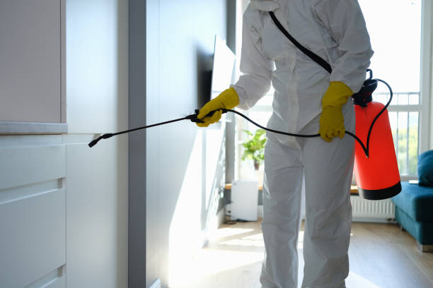 Best Mold Remediation Services  in Sans Souci, SC