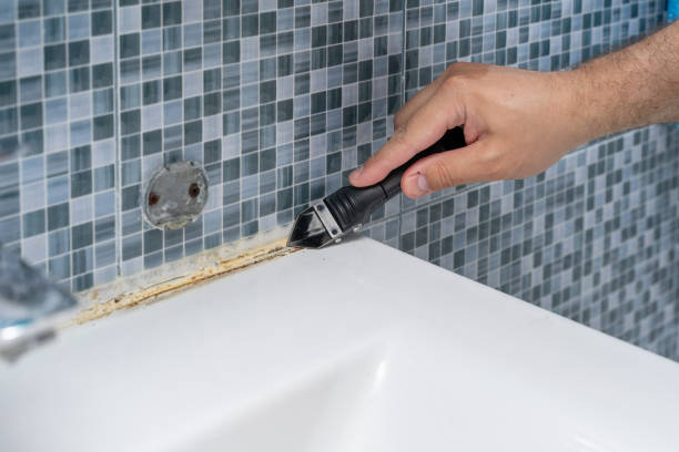Mold Removal Process in Sans Souci, SC